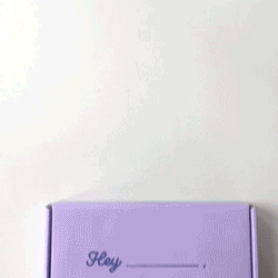Lash Strip Starter Kit